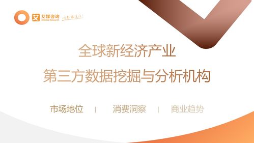 2023年中國(guó)信創(chuàng)產(chǎn)業(yè)發(fā)展白皮書(shū) 防雷器行業(yè)技術(shù)革新與市場(chǎng)前景